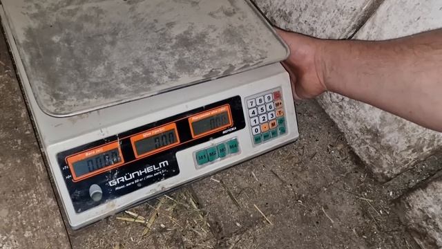 взвесить гусят не получилось) смотреть онлайн