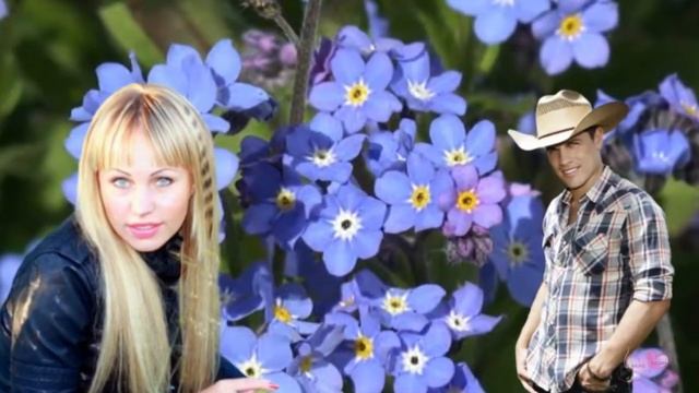 НЕЗАБУДКА СИНЯЯ ГРУСТНАЯ РАНИМАЯ автор сл. и мелодии Макар Клёнов. Клип В. Забелина. смотреть онлайн