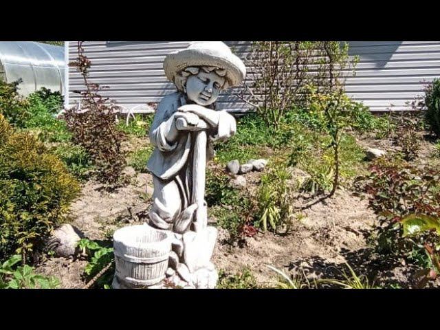 Весенняя обработка роз и хвойных. смотреть онлайн