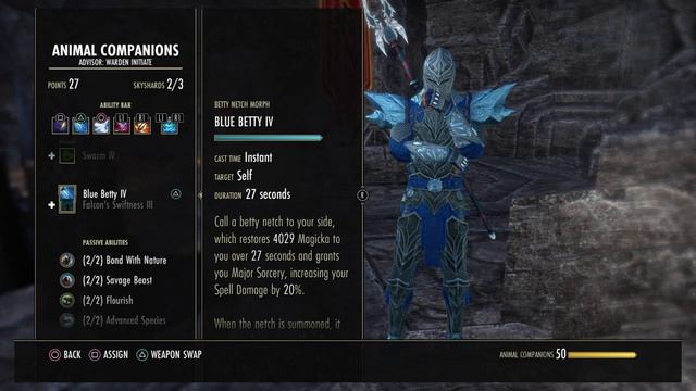 ESO Warden Ice Mage PVE build (Summerset) смотреть онлайн