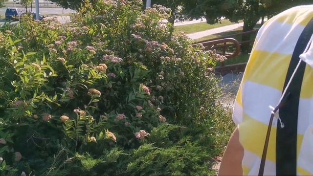 Вопросы про электросамокат от прохожего. смотреть онлайн