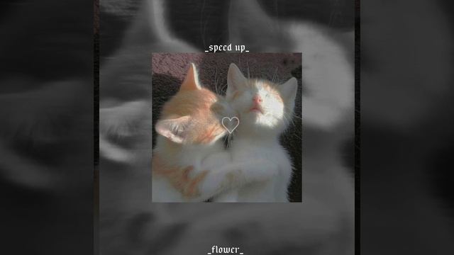 Мальчик из Питера⚰️?(speed up) смотреть онлайн