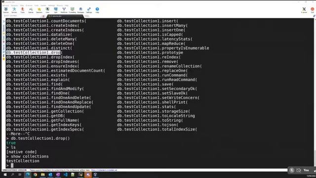 MongoDB API Commands | MongoDB API Part II | GoDev смотреть онлайн