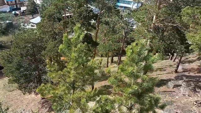 Burabai смотреть онлайн