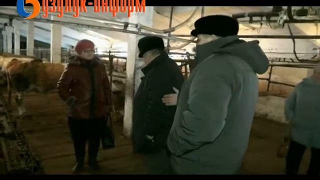 Проверка животноводческих ферм. смотреть онлайн