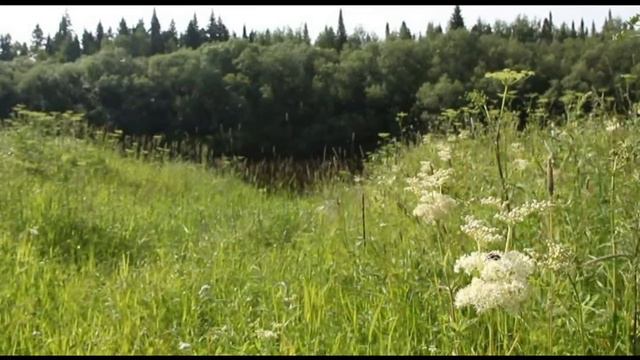 защита окружающей среды смотреть онлайн