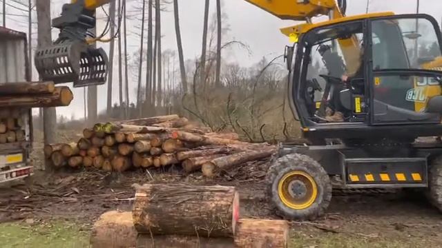 Forsttechnik Rahenbrock - JCB JS 175 Mobilbagger bei der Holzverladung смотреть онлайн