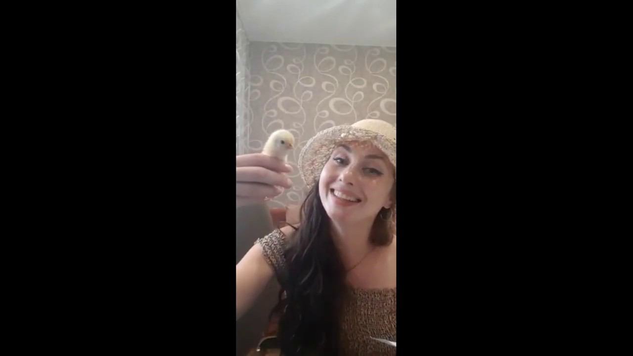 Джанни Родари "Космический цыпленок" смотреть онлайн