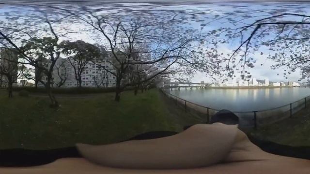 【360度動画】太田川沿いの桜並木 (Ricoh Theta S) смотреть онлайн