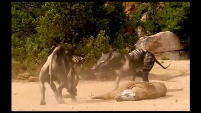 Top 10 Earth-Element Vivosaur Ideas for a Future "Fossil Fighters" Game смотреть онлайн