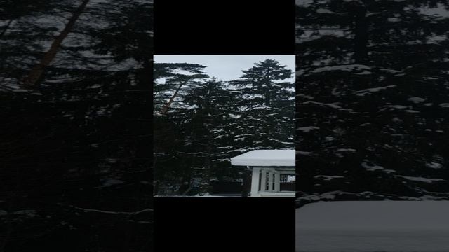 Без названия смотреть онлайн