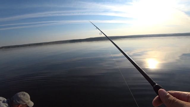 Ловим судака на Сурском водохранилище! Рыбалка на спиннинг! смотреть онлайн