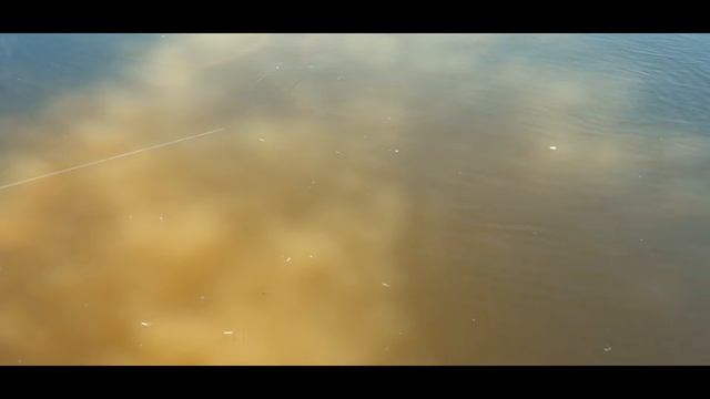 Обзор приманок (тейл-спиннеров) UF STUDIO HURRICANE.