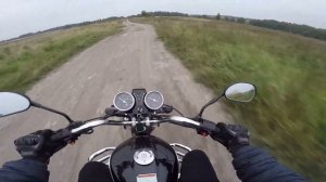 ВЕЧЕРНЯЯ ПОКАТУШКА на АЛЬФЕ! ПОКАТУШКА В ПОЛЯХ! ОЧЕНЬ МНОГО ПОКАТУШЕК!