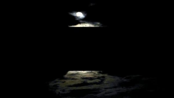 Татьяна Самая (Самая Т), Крила