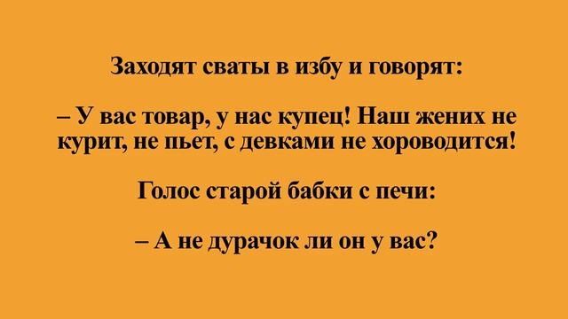Смешные анекдоты для хорошего настроения Ч.12.!:) смотреть онлайн
