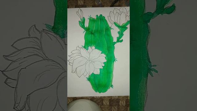 Cactus Flower | Water Colour Painting смотреть онлайн