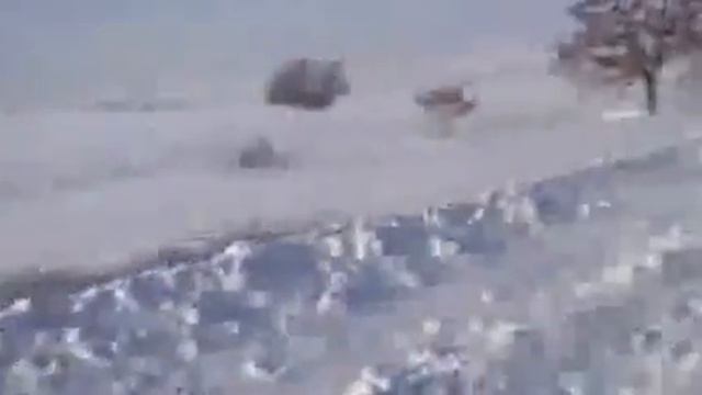 Трасса "Одесса-Измаил" исчезла под снегом. смотреть онлайн