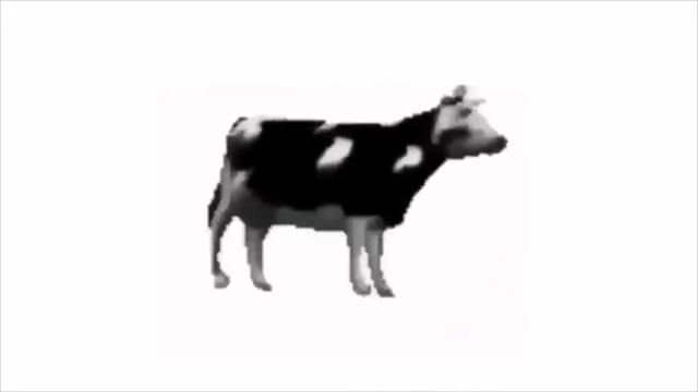 Dancing Polish Cow | Dancing For 10 Hours