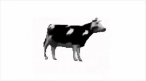 Dancing Polish Cow | Dancing for 10 Hours