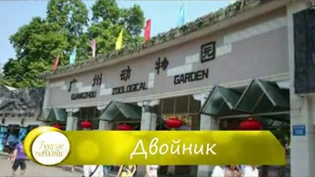 110 Утренний канал 20 05 2015 дети белокуриха среда R71 смотреть онлайн
