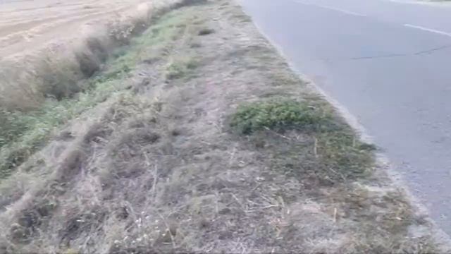 Информация о Юре смотреть онлайн