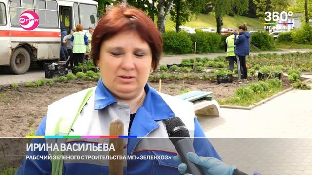 Городские клумбы — главное украшение Великих Лук смотреть онлайн