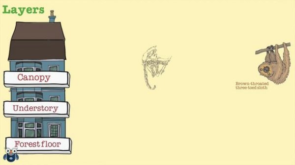 Rainforest : Amazing Facts, sights and sounds : Science Videos for kids