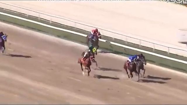 VEA EL RESUMEN MAS COMPLETO DE CARRERAS HIPICAS 18-02-24 / LA RINCONADA смотреть онлайн