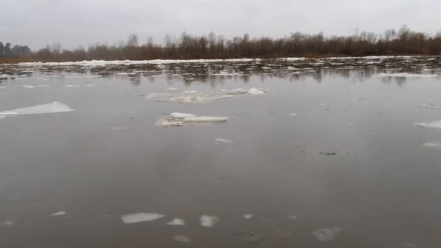 Пример видео с камеры Xiaomi Mijia 4K Action Camera YDXJ01FM. смотреть онлайн