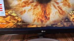 RTX 4060 Palit Dual OC - FURMARK TEST