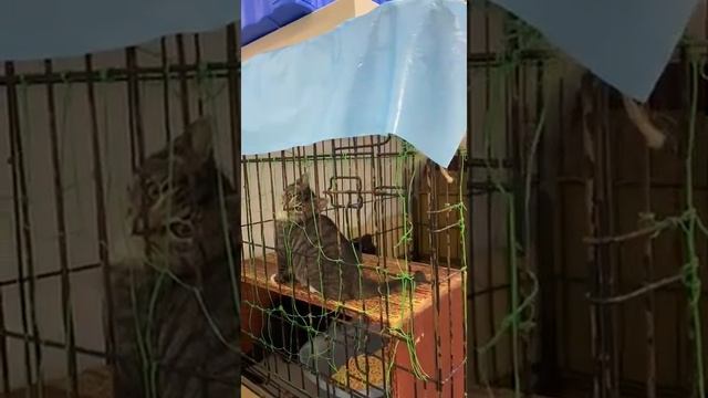 Очень ласковый мальчик Марк 4 мес нашел дом смотреть онлайн