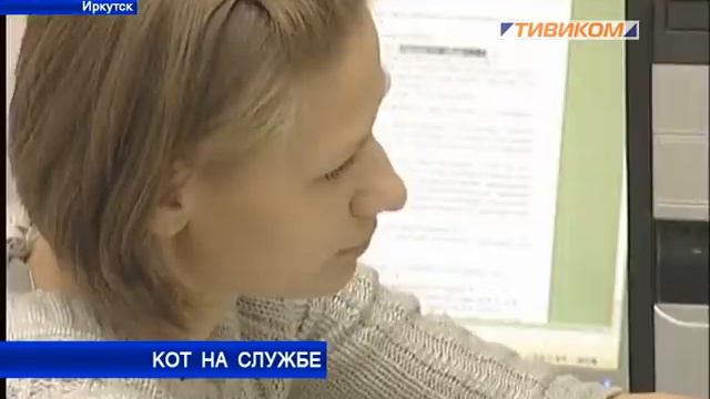 Кот на службе смотреть онлайн