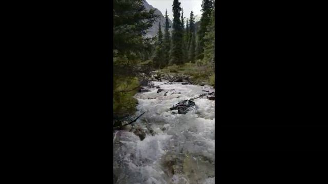 Будущее место установки водяного насоса Гидротаран Рогозина. смотреть онлайн