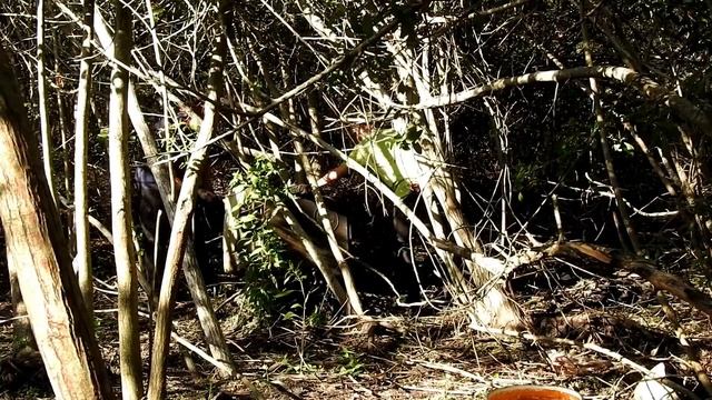 Removing a hidden chill spot on an empty lot смотреть онлайн