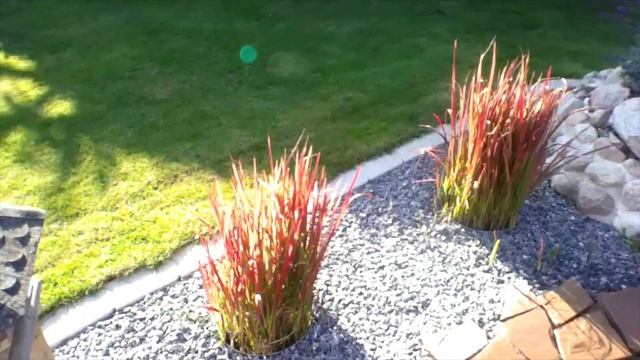 Офигенно красивый пруд с фонтаном своими руками! смотреть онлайн