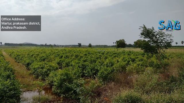 Agriculture spraying drone full details IN TELUGU || PRICE || ADDRESS || FEEDBACK || SAG DRONES смотреть онлайн