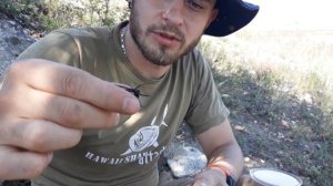 Каракурт в Николаеве / Latrodectus tredecimguttatus in Nikolaev