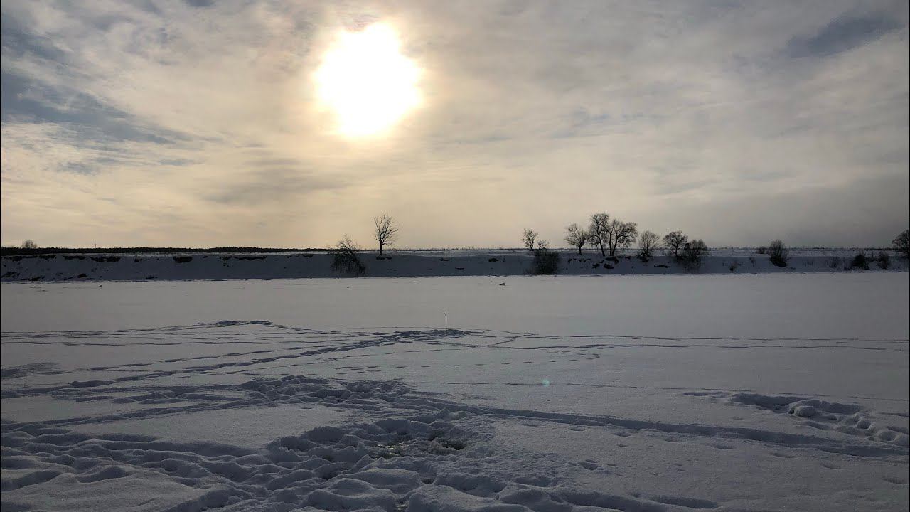 РЫБАЛКА НА ОКЕ / ОЧЕНЬ Много РЫБЫ в ЭТОМ Затоне смотреть онлайн