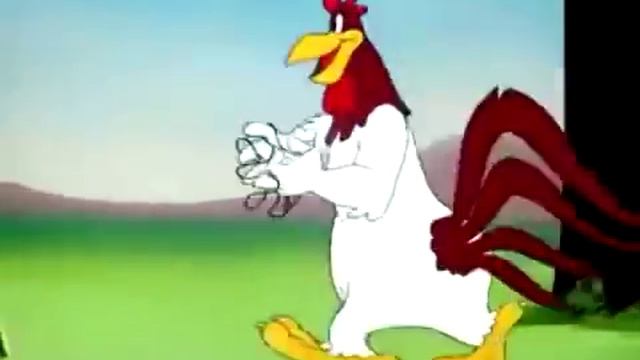 Foghorn Leghorn Funny Moments