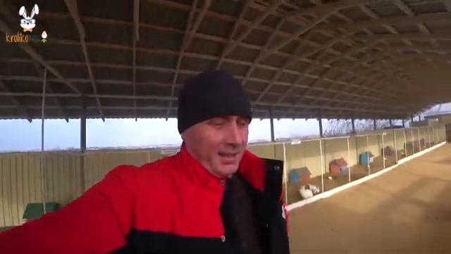 Хорошие и плохие новости кроликопарка смотреть онлайн