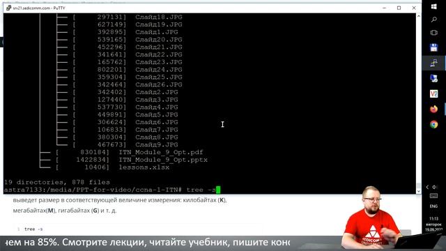 Команда tree в Linux: рекурсивный вывод каталогов смотреть онлайн