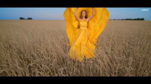 Девушка в поле футаж с музыкой