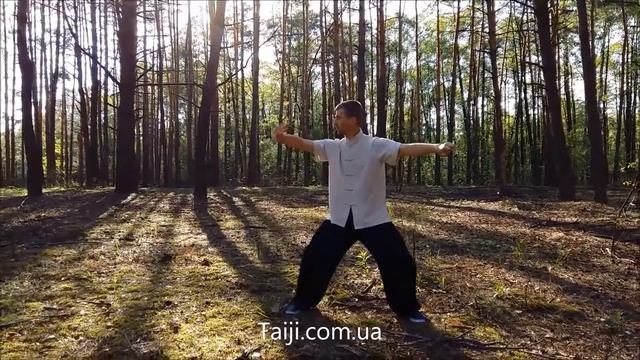 Тайцзицюань. Тренировка в лесу. смотреть онлайн