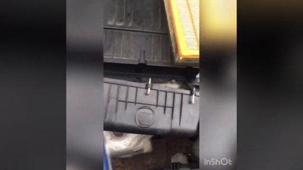 Fiat Grande/Evo Punto 1.2/1.4 Air Filter Replacement