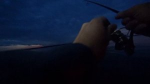 ТОП ВОБЛЕРОВ НА СУДАКА