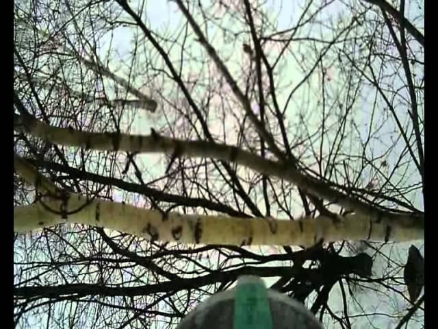 береза эспл ред_HDTV.avi смотреть онлайн