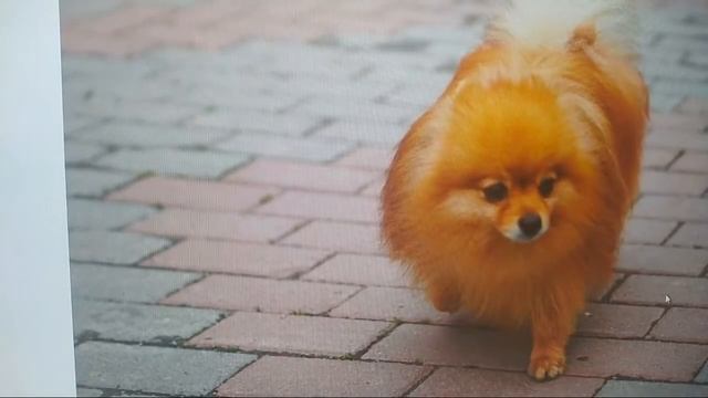 Сделай Это С Удовольствием