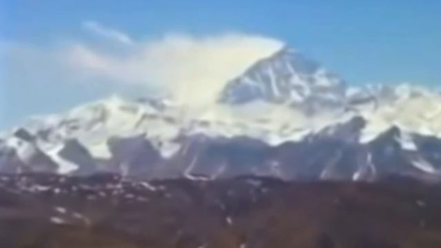 ЧТО ОБИТАЕТ на ДНЕ МАРИАНСКОЙ ВПАДИНЫ смотреть онлайн