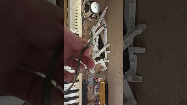 Звенит клавиша на пианино Casio Celviano